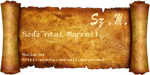 Szántai Marcell névjegykártya